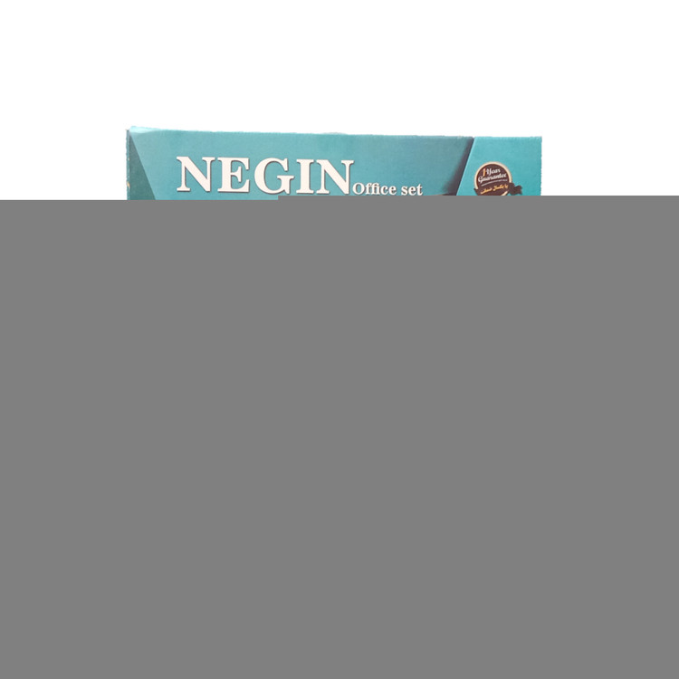 پشتی طبی نگین